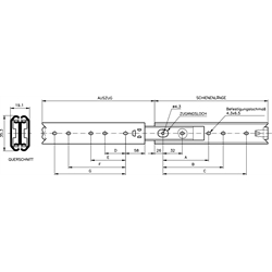 Auszugschienensatz DS 0330 Schienenlänge 600mm Edelstahl, Technische Zeichnung