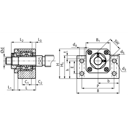 Stehlagereinheit BK 40 Bohrung 40mm Gehäuse aus Stahl vernickelt, Technische Zeichnung