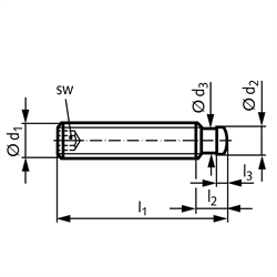 Gewindestift DIN 6332 mit Druckzapfen mit Innensechskant Gewinde M20 Gesamtlänge 125mm rostfreier Stahl, Technische Zeichnung