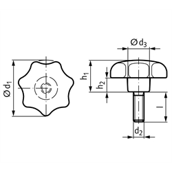 Sterngriffschraube ähnlich DIN 6336 Ausführung ST Ø25mm M5 x 15 , Technische Zeichnung