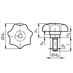 Sterngriffschraube ähnlich DIN 6336 Ausführung TE Ø32mm M6 x 16 , Technische Zeichnung