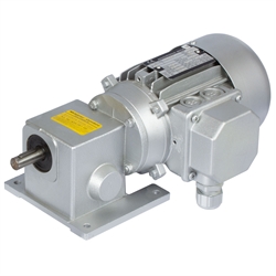 Schneckengetriebemotor RL 120 Watt 230/400V 50Hz IE2 i=25:1 Abtriebsdrehzahl ca. 112 /min Md2=6,6Nm (Betriebsanleitung im Internet unter www.maedler.de im Bereich Downloads), Produktphoto