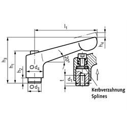 Verstellbarer Klemmhebel 300 Ausführung N mit Innengewinde M16 Grifflänge L1 = 108mm , Technische Zeichnung