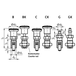 Rastbolzen 817 Form B Bolzendurchmesser 8mm Edelstahl 1.4305 , Technische Zeichnung