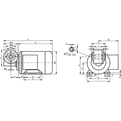 Schneckengetriebemotor MH mit Hohlwelle 180 Watt 230/400V 50Hz IE2 i=20:1 Abtriebsdrehzahl ca. 70 /min Md2=14Nm (Betriebsanleitung im Internet unter www.maedler.de im Bereich Downloads), Technische Zeichnung