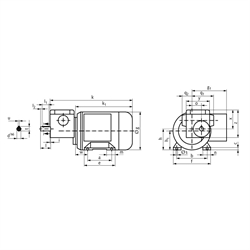 Schneckengetriebemotor MZ 90 Watt 230/400V 50Hz IE1 i=25:1 Abtriebsdrehzahl ca. 56 /min zulässiges Md2=7,8Nm (Betriebsanleitung im Internet unter www.maedler.de im Bereich Downloads), Technische Zeichnung