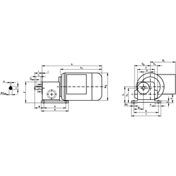 Schneckengetriebemotor RL 120 Watt 230/400V 50Hz IE2 i=125:1 Abtriebsdrehzahl ca. 22 /min zulässiges Md2=7,8Nm (Betriebsanleitung im Internet unter www.maedler.de im Bereich Downloads), Technische Zeichnung