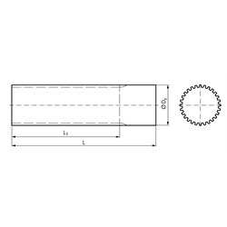 Zahnwelle Profil T5 72 Zähne Länge 160mm Material Aluminium , Technische Zeichnung